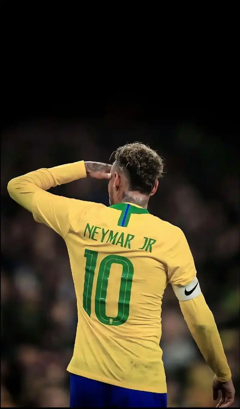 了荷兰队的 了荷兰队的